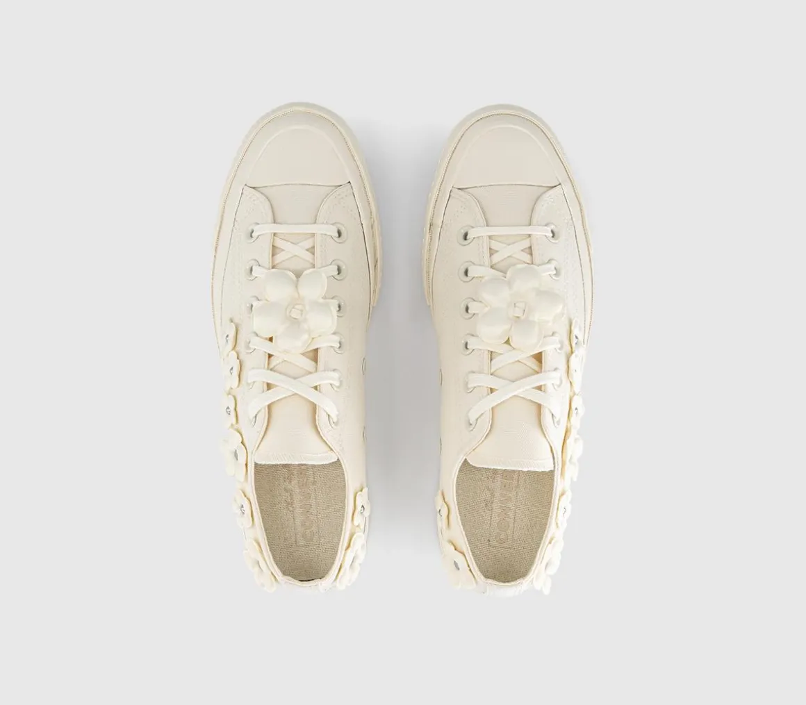 All Star OX 70 S Trainers