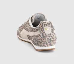 Arizona Trainers