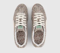 Arizona Trainers
