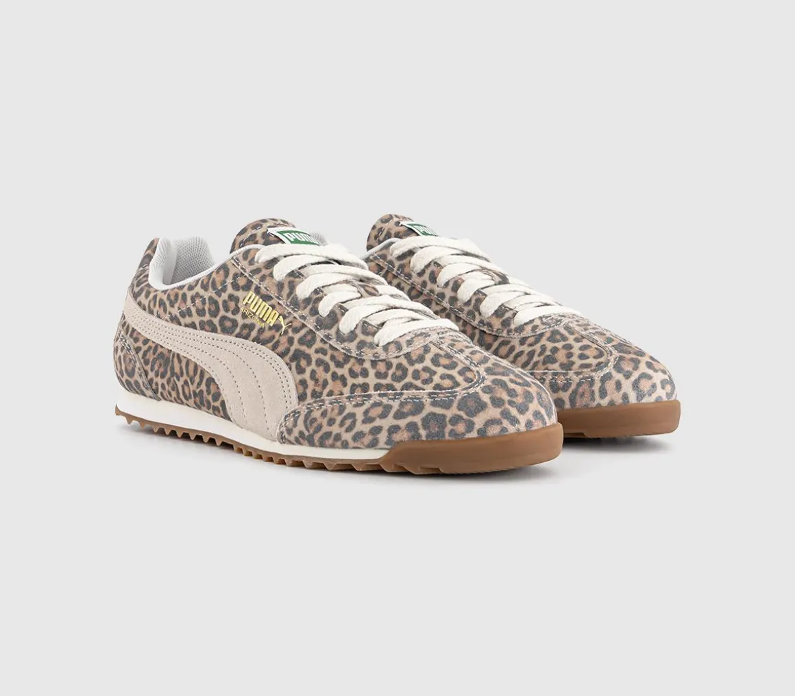 Arizona Trainers