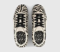 Arizona Trainers