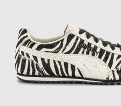Arizona Trainers