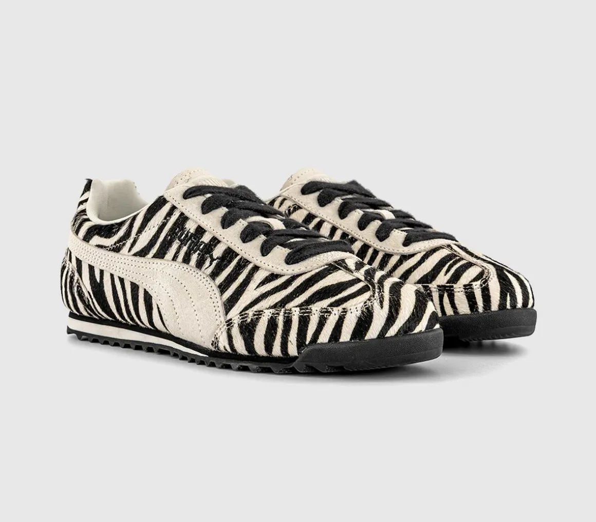 Arizona Trainers