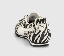 Arizona Trainers