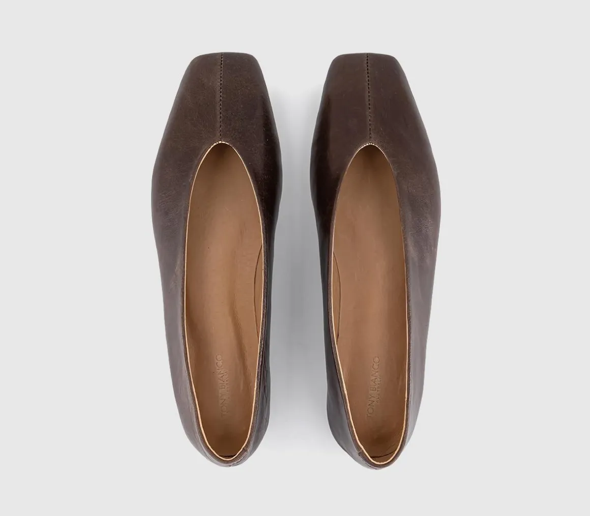 Brash Ballet Flats