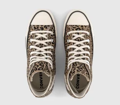 Converse All Star Hi Trainers