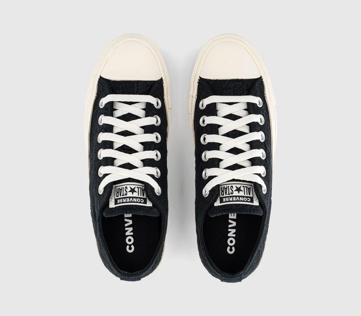 Converse All Star Low Trainers