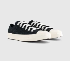 Converse All Star Low Trainers