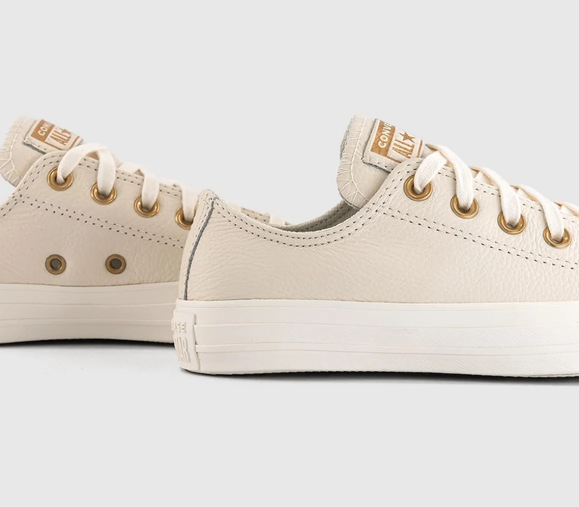 Converse All Star Low Trainers