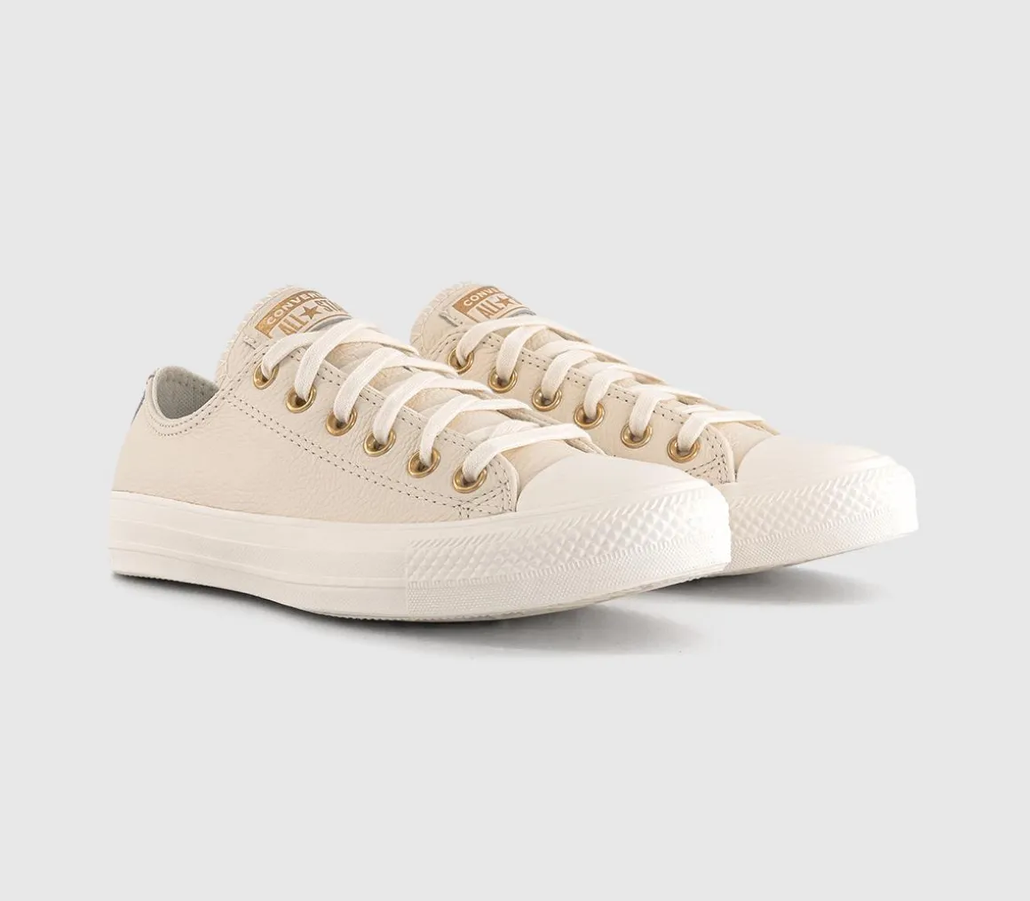 Converse All Star Low Trainers