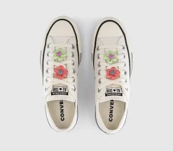 Converse All Star Low Trainers