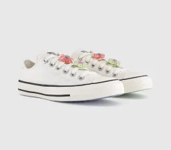 Converse All Star Low Trainers