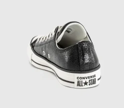 Converse All Star Low Trainers