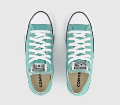 Converse All Star Low Trainers