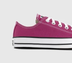 Converse All Star Low Trainers