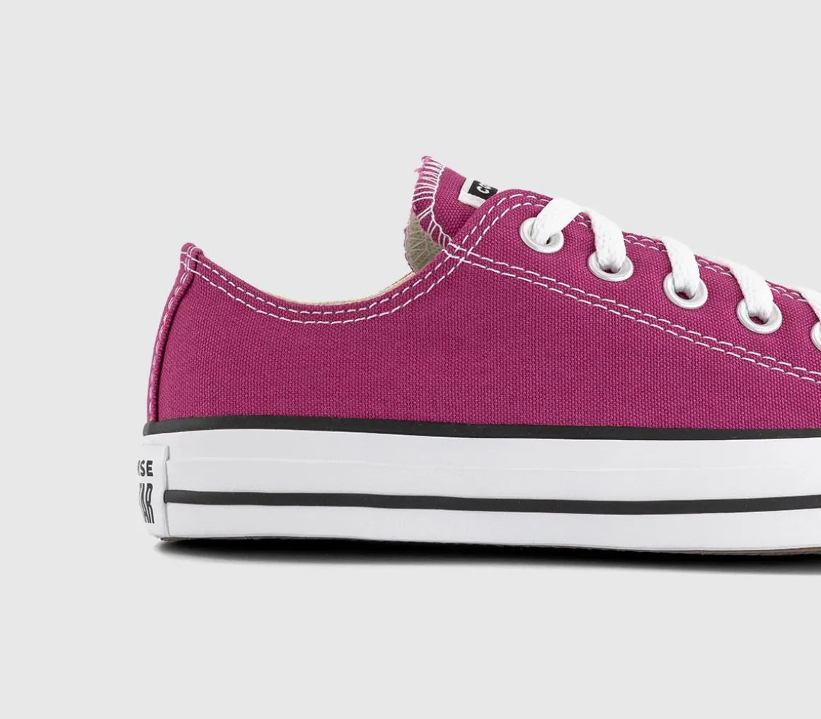 Converse All Star Low Trainers