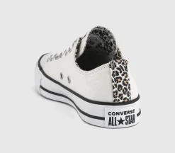 Converse All Star Low Trainers