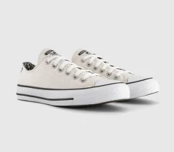 Converse All Star Low Trainers