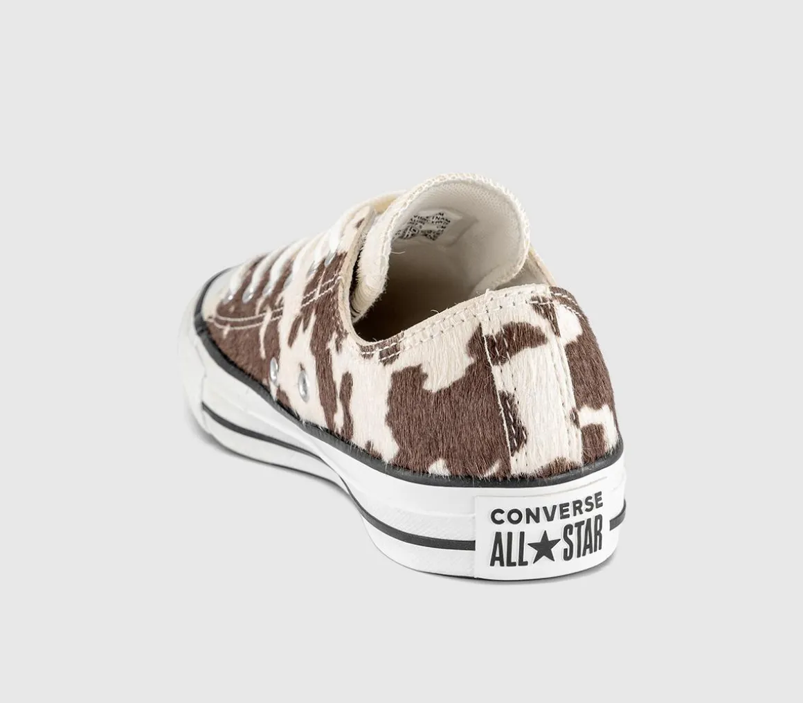 Converse All Star Low Trainers