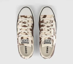 Converse All Star Low Trainers