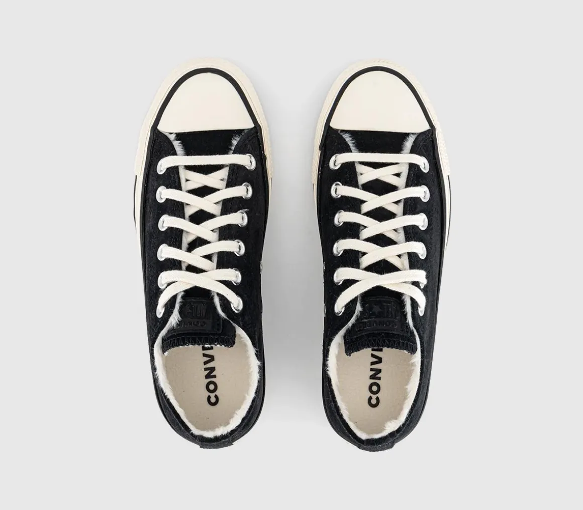 Converse All Star Low Trainers