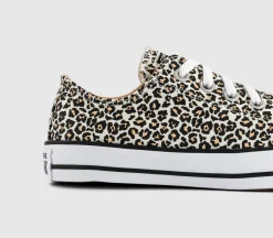 Converse All Star Low Trainers