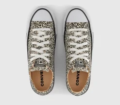 Converse All Star Low Trainers