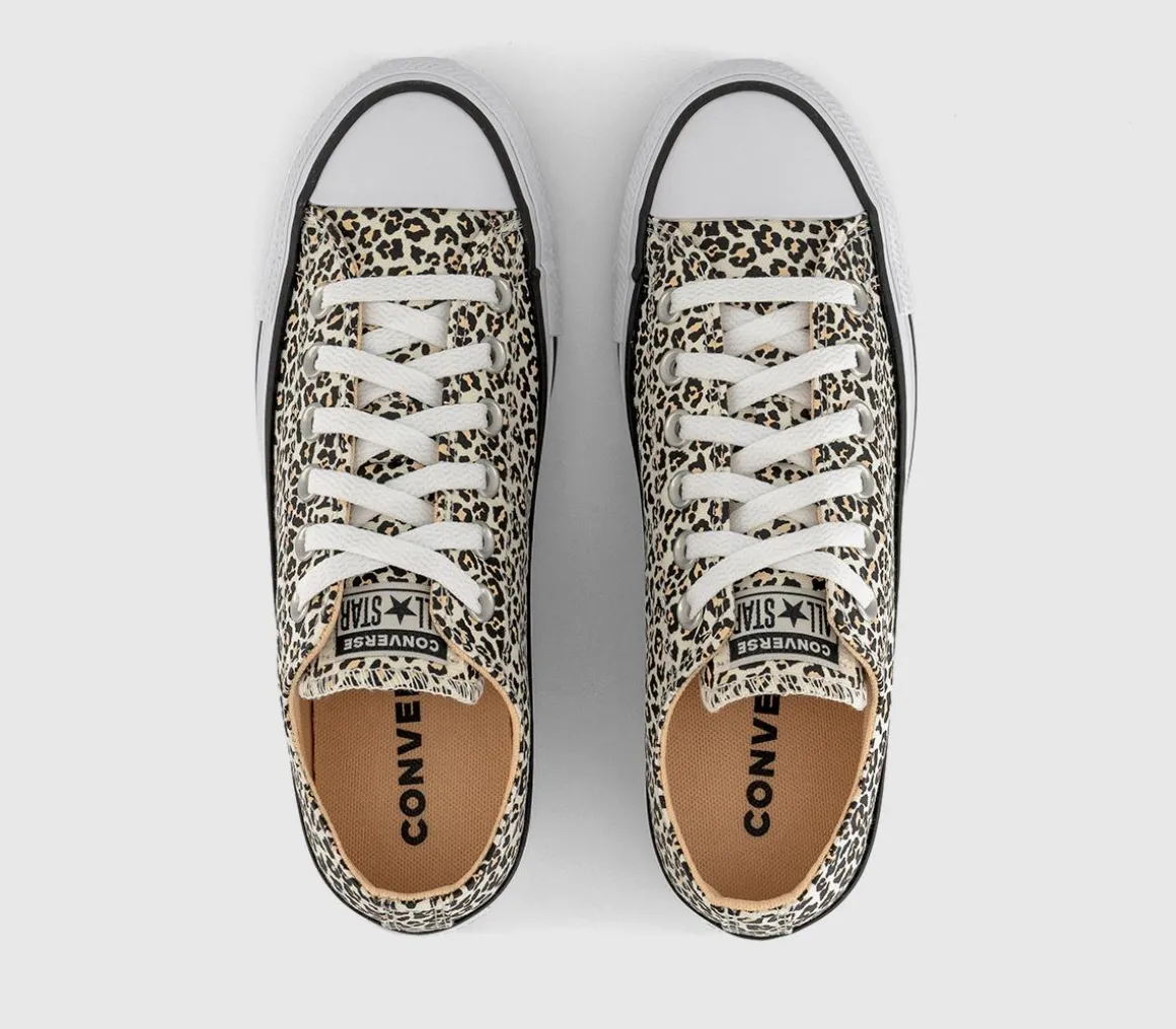 Converse All Star Low Trainers