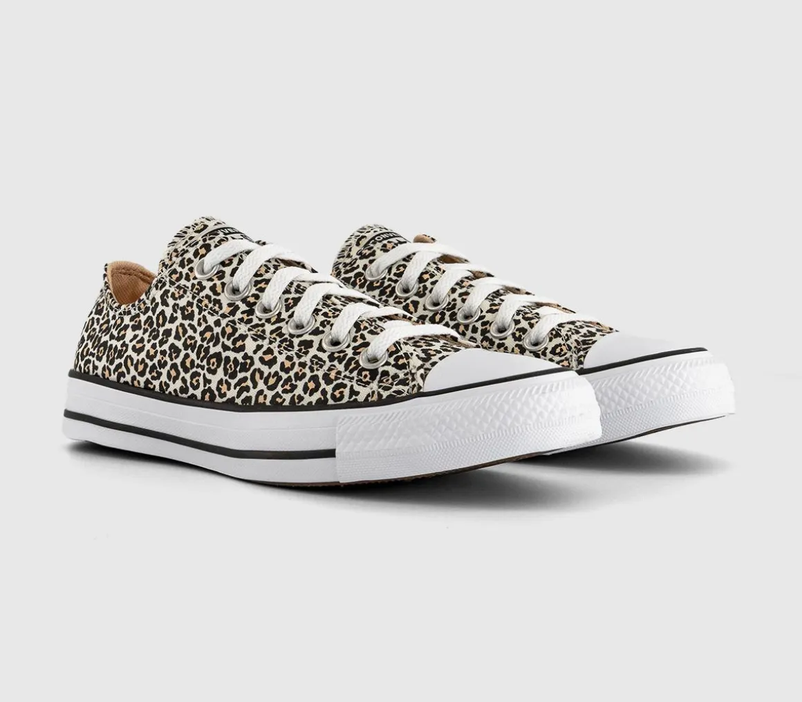Converse All Star Low Trainers