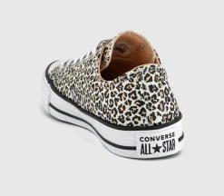 Converse All Star Low Trainers