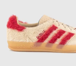 Gazelle Indoor Trainers