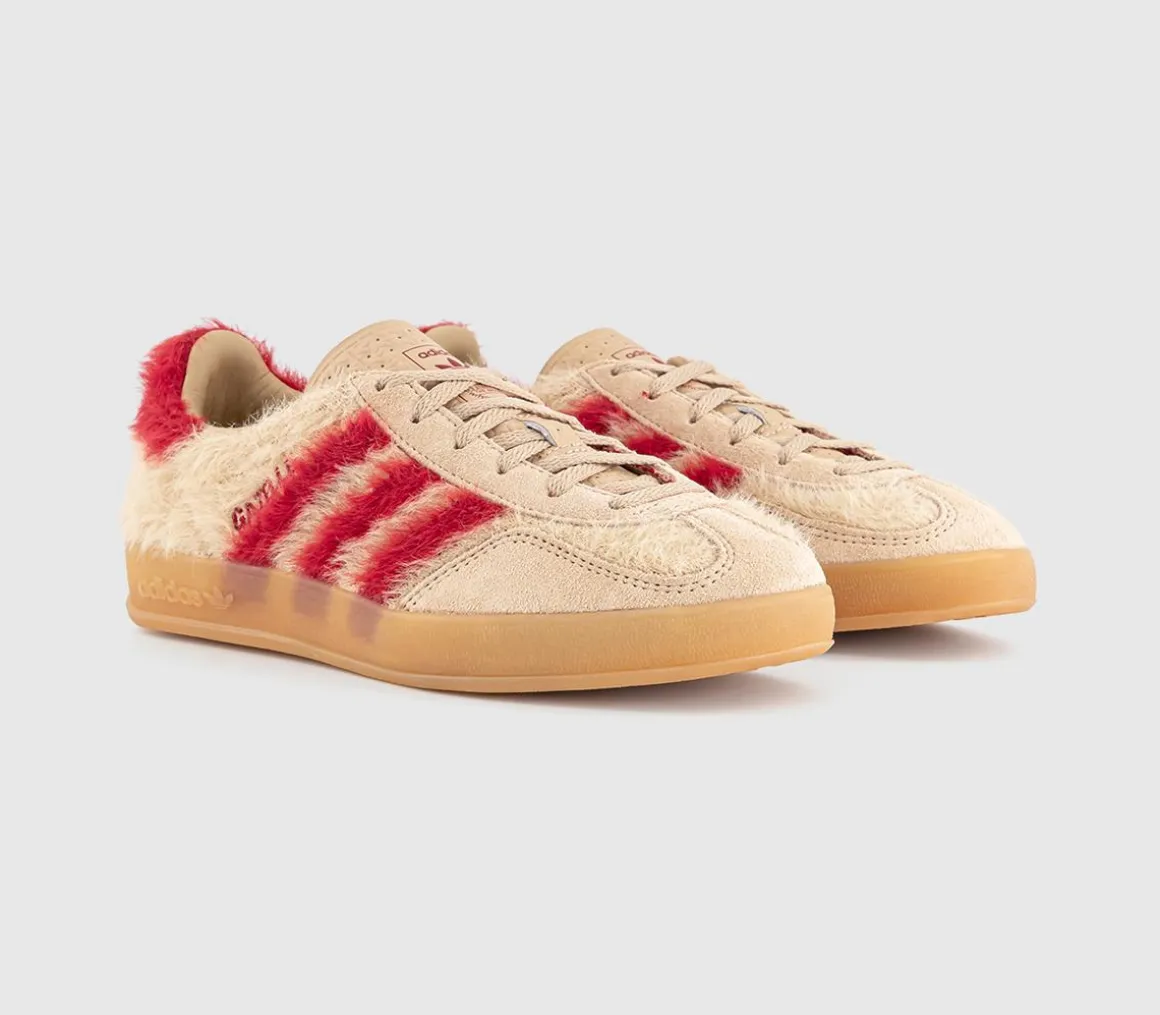 Gazelle Indoor Trainers