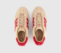 Gazelle Indoor Trainers