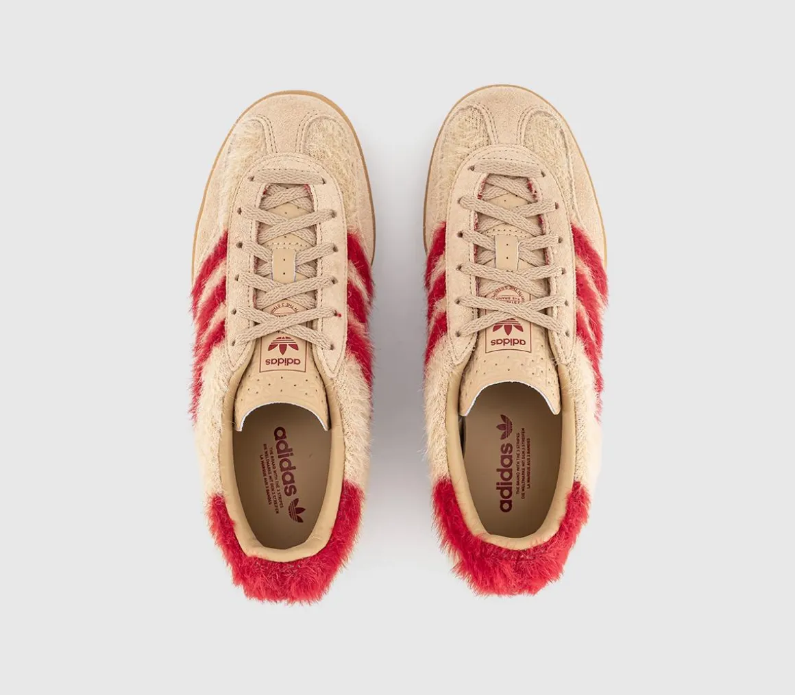 Gazelle Indoor Trainers