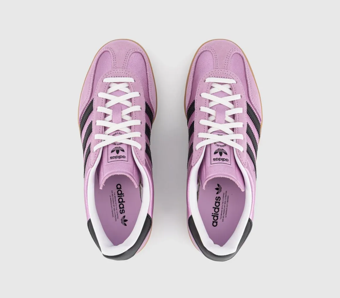 Gazelle Indoor Trainers
