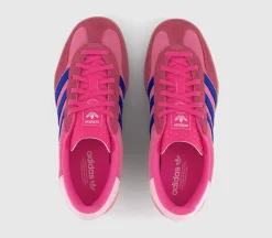Gazelle Indoor Trainers