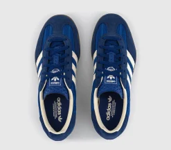 Gazelle Indoor Trainers