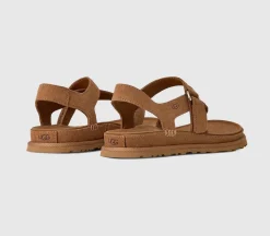 Goldengaze Toe Post Sandals