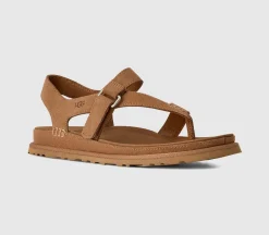 Goldengaze Toe Post Sandals