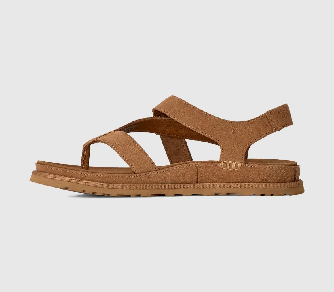 Goldengaze Toe Post Sandals