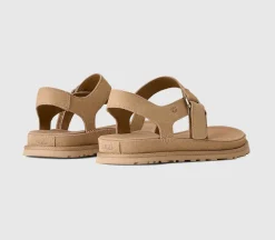 Goldengaze Toe Post Sandals