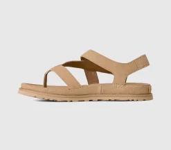 Goldengaze Toe Post Sandals
