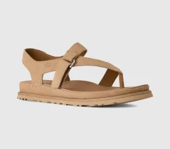 Goldengaze Toe Post Sandals