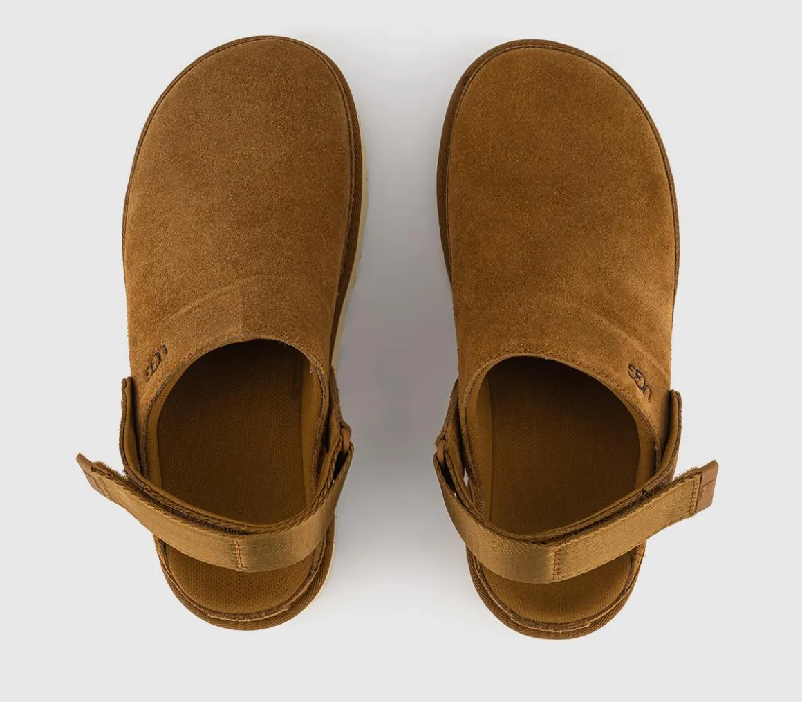 Goldenstar Clogs