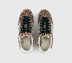 Japan Trainers