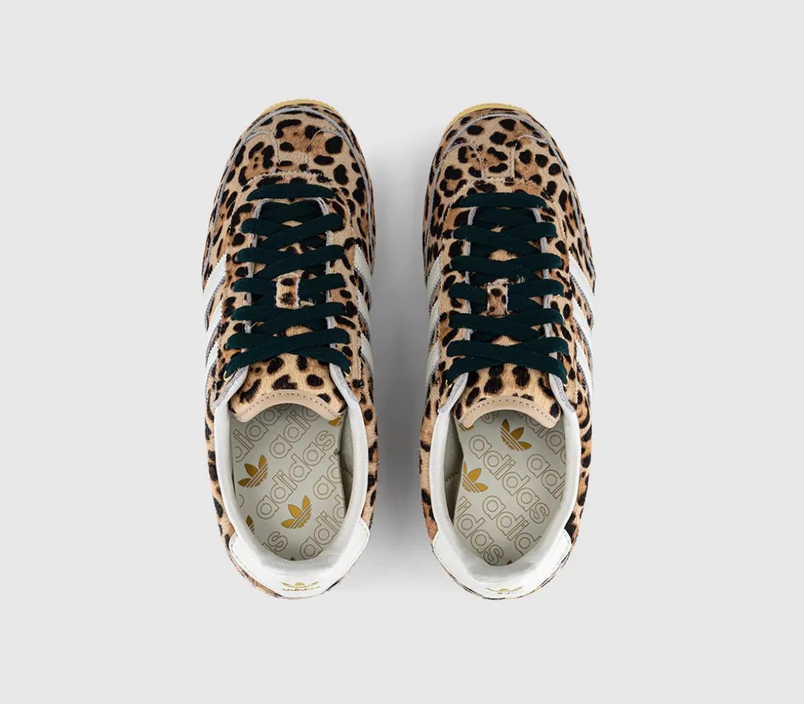 Japan Trainers