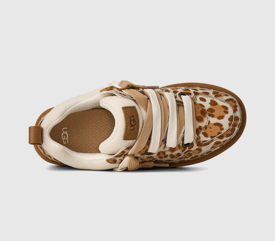 Lo Lowmel Plains Trainers