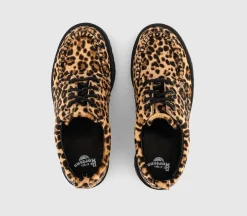 Lowell Shoes