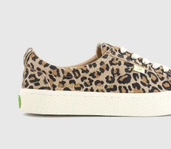 OCA Low
