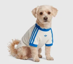 Pet Cali Tee
